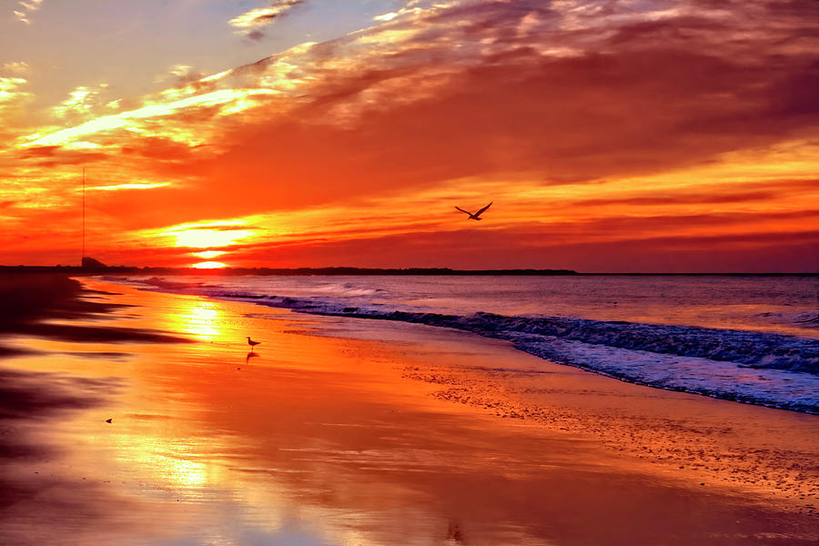 Sunset Photograph - Good morning Cape May   by Geraldine Scull