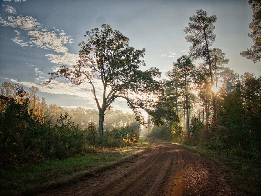 Good Morning Country Road Photograph by Buck Buchanan