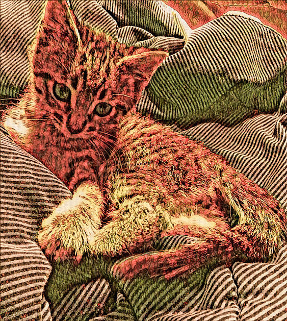 Good Morning Kitty Digital Art by Eileen Backman
