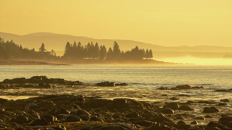 Good Morning Seawall Maine Photograph by Kyle Lee
