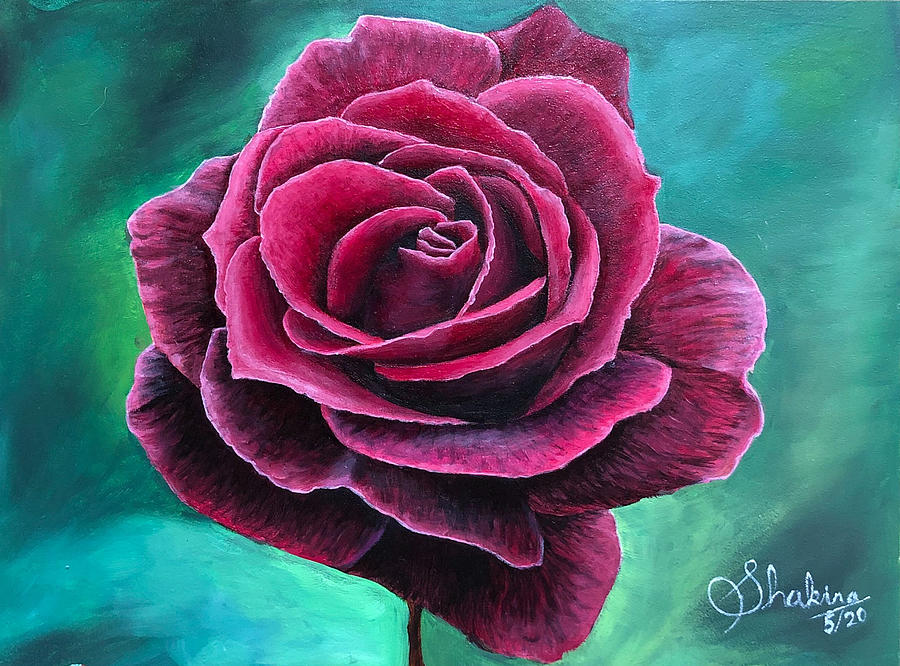 Rose Painting - Good morning by Shakira M
