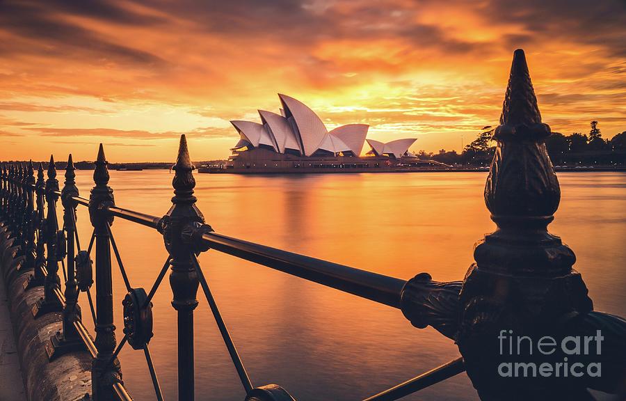 Good Morning Sydney  Photograph by EliteBrands Co