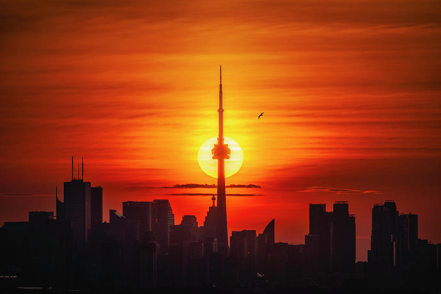 Good Morning, Toronto Photograph by Dee Potter
