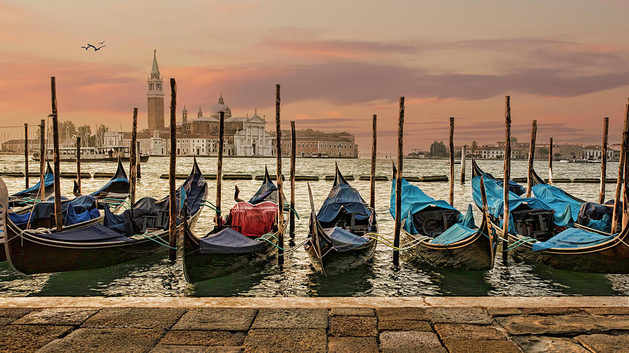 Good Morning Venice Photograph by Mary Buck