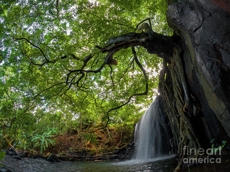Good Morning Waterfall Photograph by Kestreloculus - Fine Art America