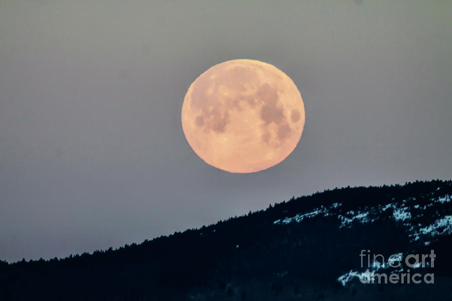 Good Night Moon Photograph by Xine Segalas