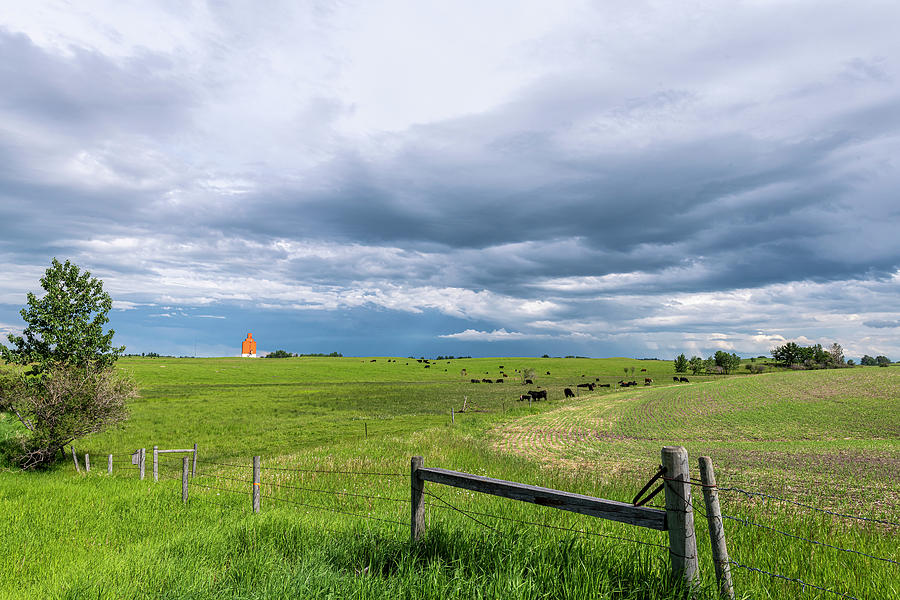 Alberta Photograph - Good Productive Land by Phil And Karen Rispin