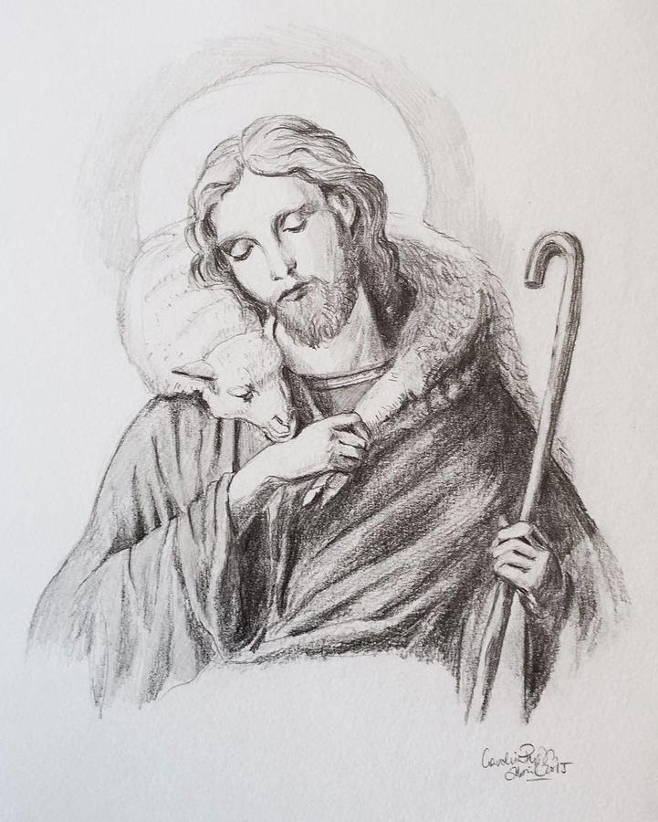 Good shepherd Drawing by Carolina Prieto Moreno