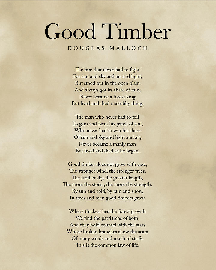 Nature Digital Art - Good Timber - Douglas Malloch Poem - Literature - Typography 1 - Vintage by Studio Grafiikka