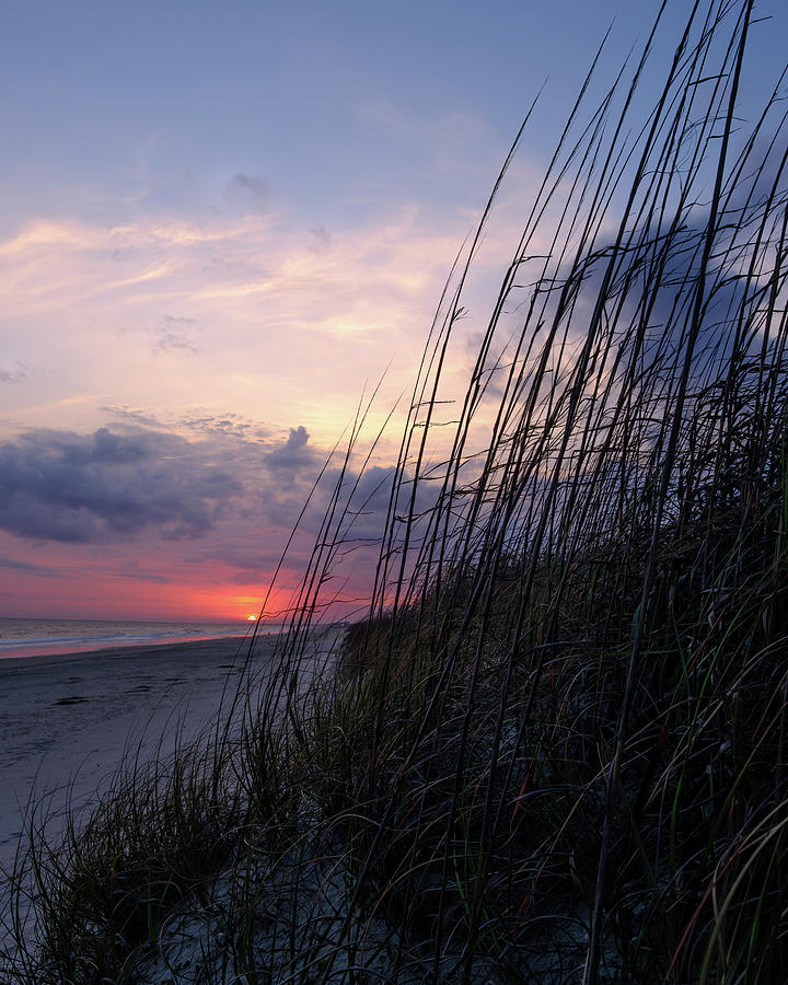 Goodnight Beach Photograph by Mary Vanier - Fine Art America