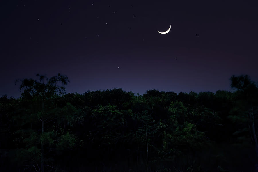 Goodnight Everglades Photograph by Mark Andrew Thomas