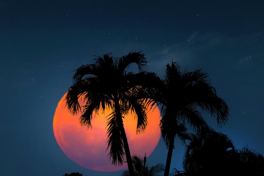 Goodnight Florida Photograph by Mark Andrew Thomas