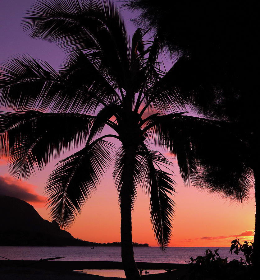 Sunset Photograph - Goodnight Hanalei by Tony Spencer