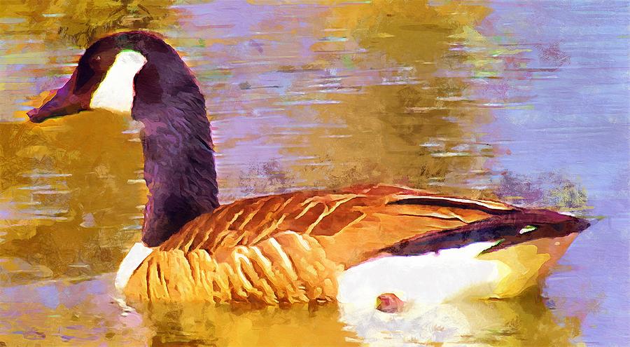 Canada Goose on the Pond bird waterfowl print Mixed Media by Christopher Reed