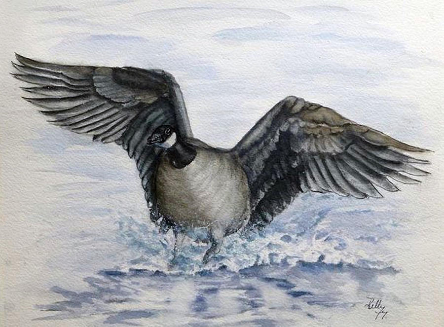 Goose Landing Painting by Kelly Mills