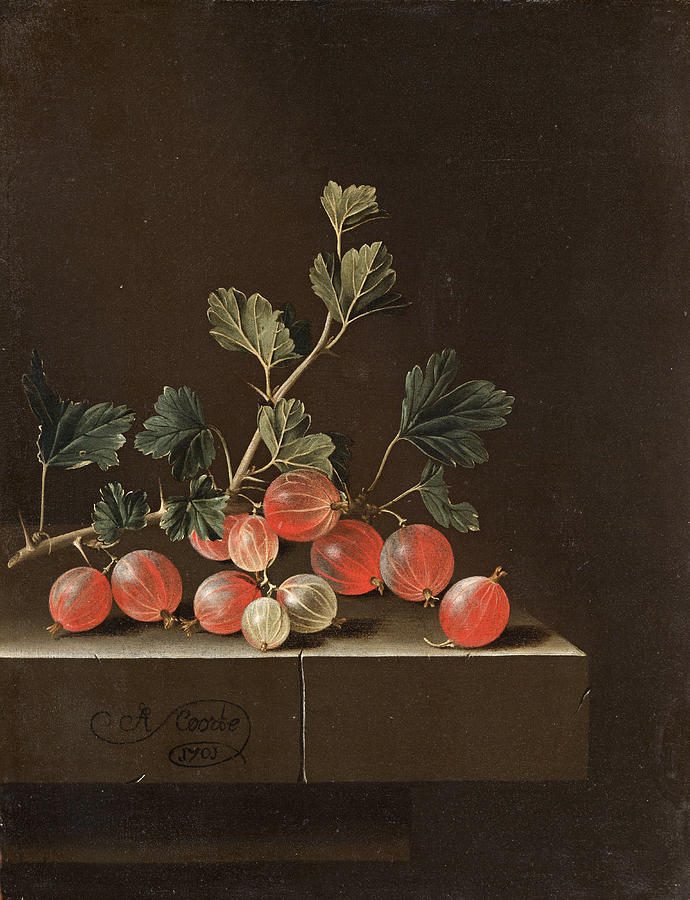 Adriaen Coorte Painting - Gooseberries on a Table  by Adriaen Coorte