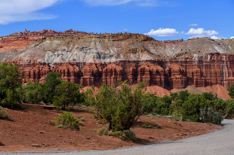 Goosenecks overlook 2024 capitol reef