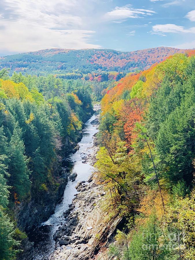 Gorge in Vermont Photograph by Patsy Walton