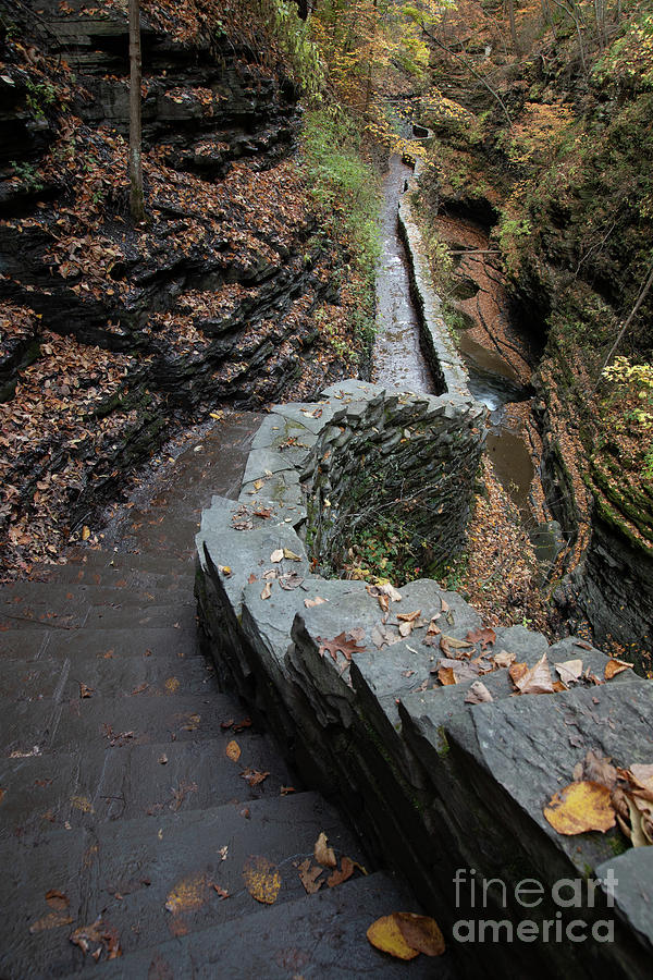 Gorge Trail at Watkins Glen Photograph by Jeannette Hunt
