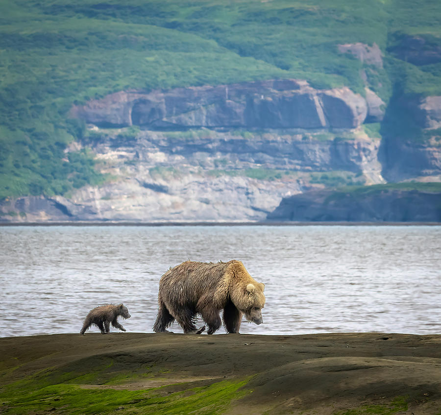 Gorgeous Alaska Photograph by Laura Hedien