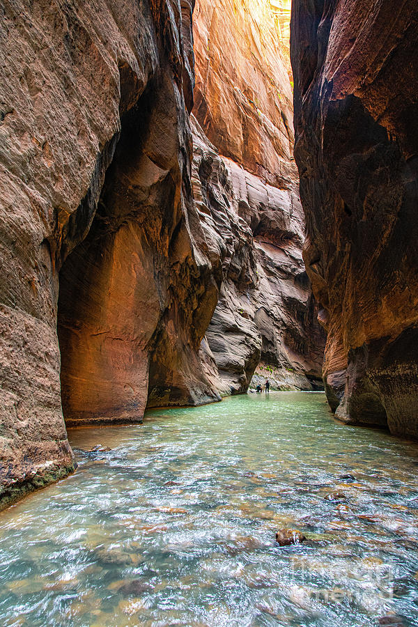 Gorgeous Colors  Hike The Narrows Zion National Park Photograph by Wayne Moran