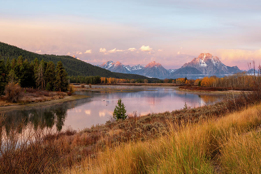 Gorgeous Morning at Oxbow Bend - Wide Photograph by Belinda Greb