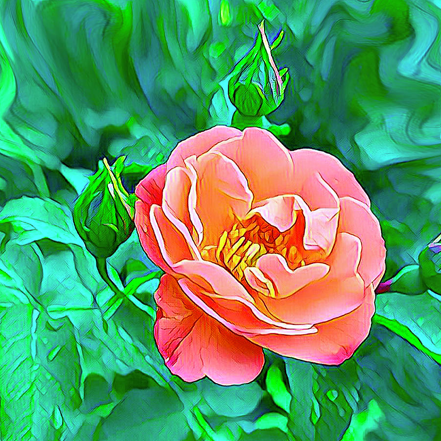 Gorgeous Rose Digital Art by Nancy Olivia Hoffmann Gorgeous Rose Digital Art by Nancy Olivia Hoffmann