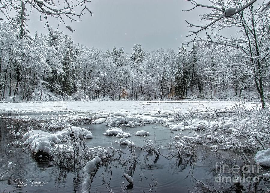 Gorgeous Spring Snow Storm Photograph by Jan Mulherin