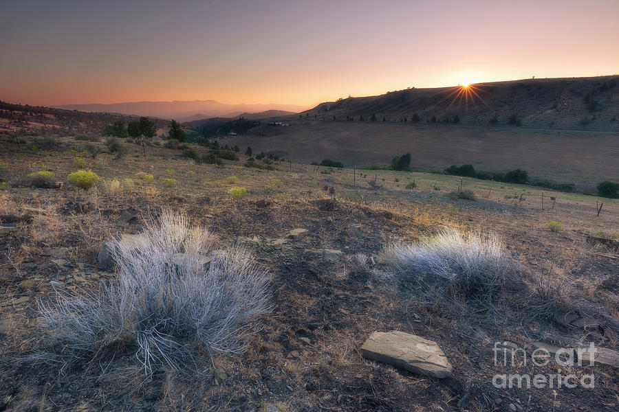 Summer Photograph - Gorgeous sunrise in Oregon high desert by Masako Metz