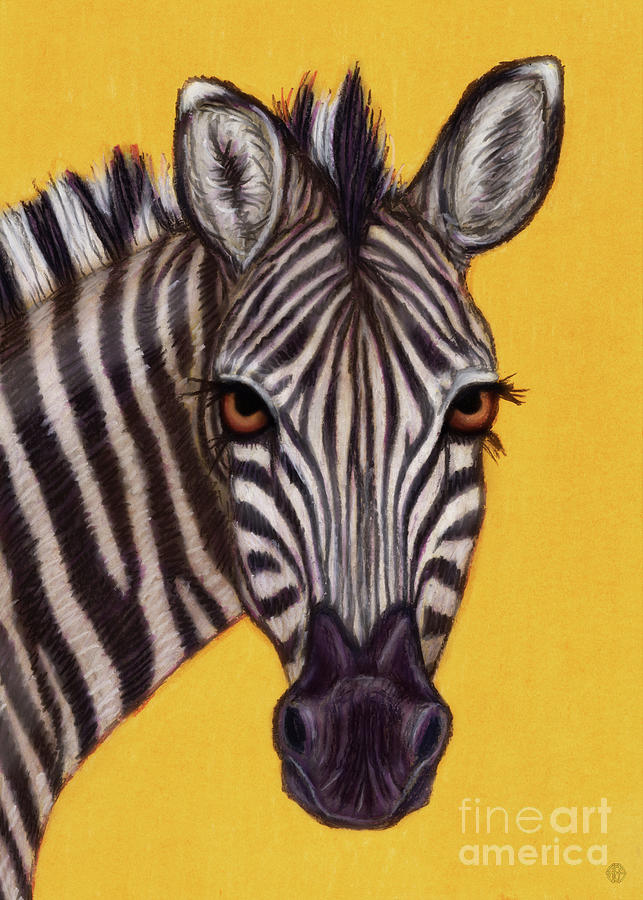 Gorgeous Zebra  Painting by Amy E Fraser