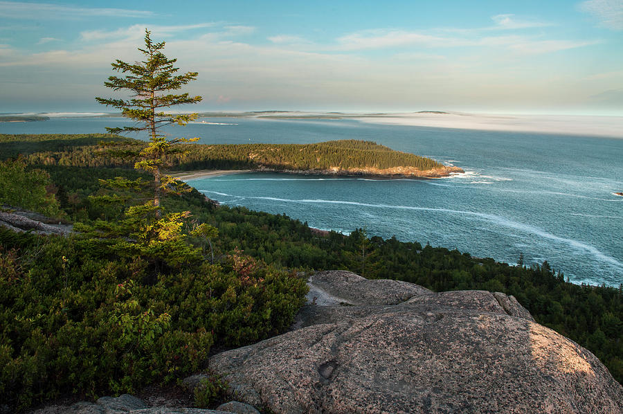 Gorham Mt View, Acadia National Park, Maine Photograph by Bob Grabowski