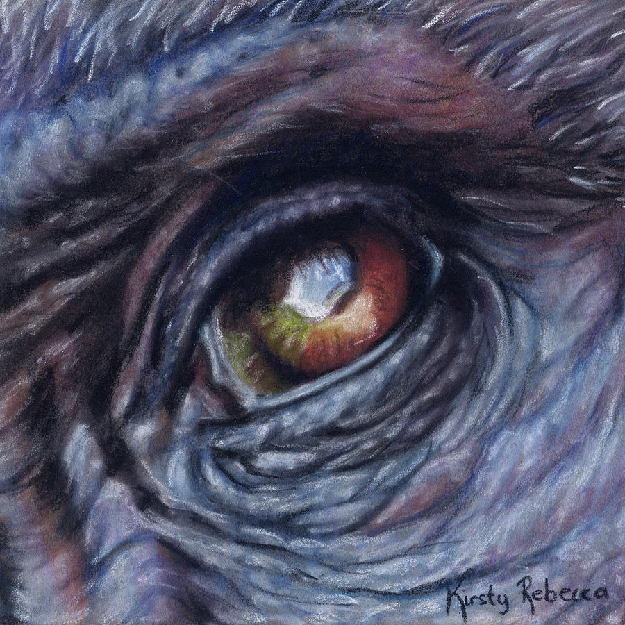 Gorilla Eye Study Pastel by Kirsty Rebecca