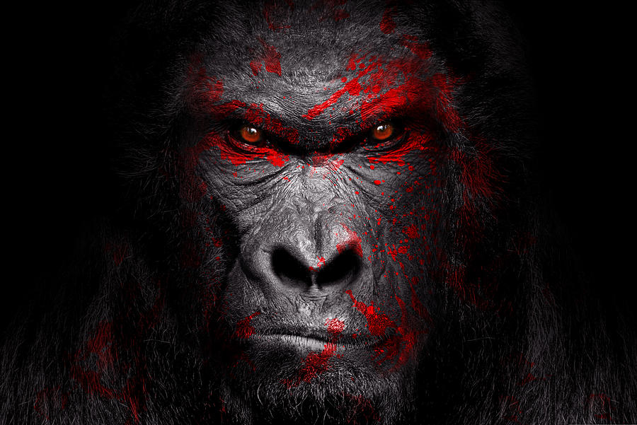 Afstå Store Utålelig Gorilla art , red blood , animal ink Photograph by Vieriu Adrian - Fine Art  America