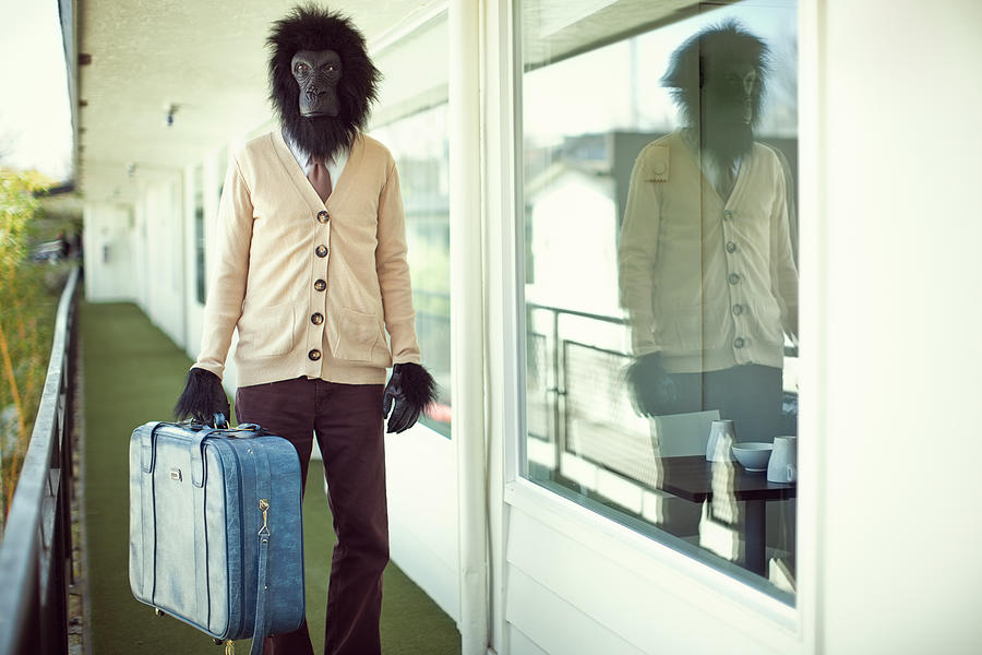 Gorilla Business Man in Hotel Hallway Photograph by RyanJLane