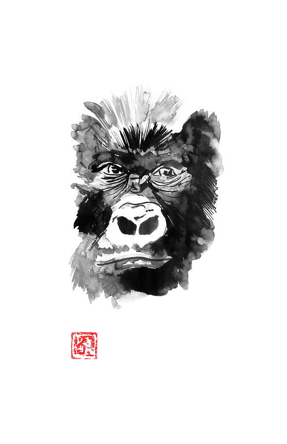 Gorilla Drawing - Gorilla by Pechane Sumie