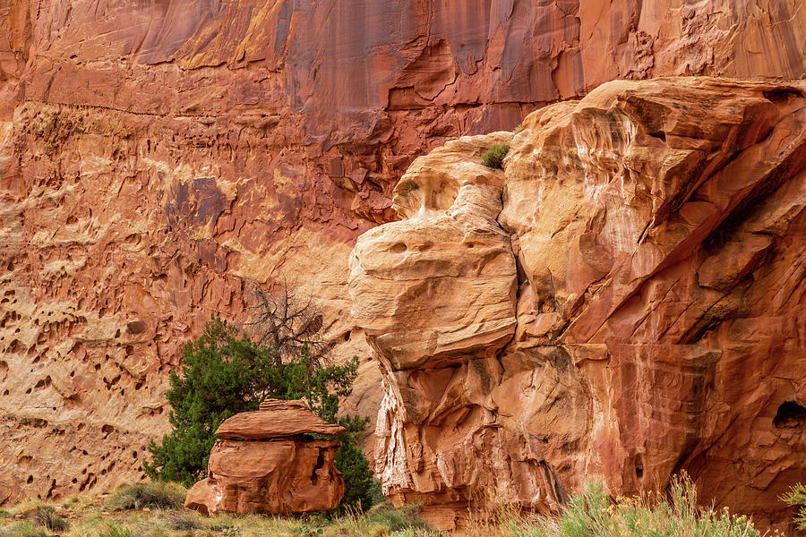 Gorilla Rock Of Capitol Reef Photograph by Pierre Leclerc Photography