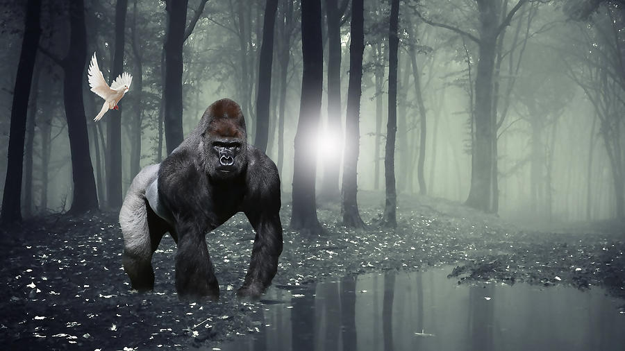 Gorilla Sighting Mixed Media by Marvin Blaine