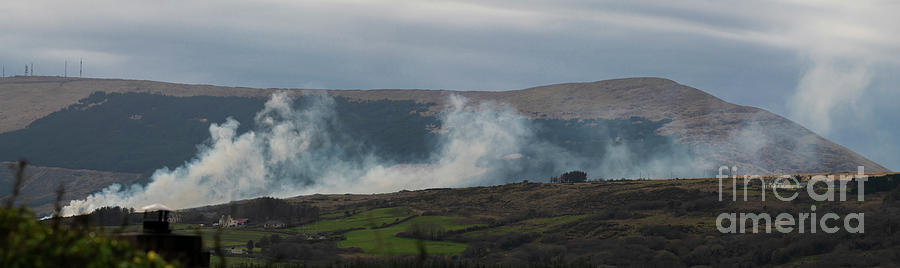 Gorse Burning Panorama Photograph by Catherine Sullivan