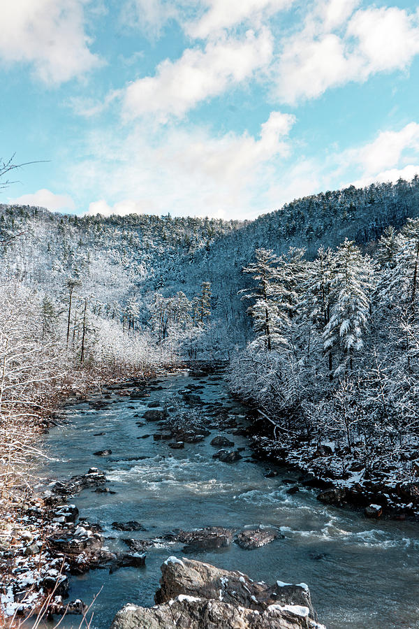 Goshen Pass Snowfall Photograph by Caroline Fitzgerald Fine Art America