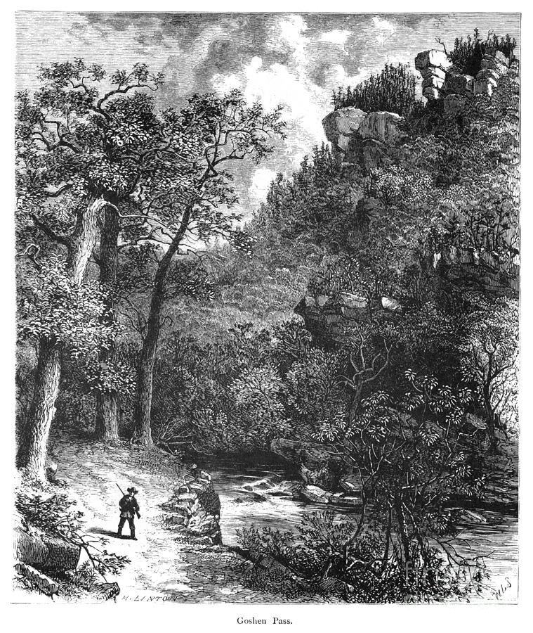 Goshen Pass, Virginia Drawing by William L Sheppard