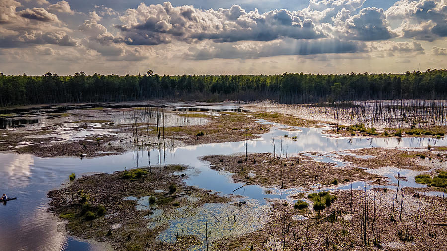 Goshen Pond Landscape Photograph by Louis Dallara