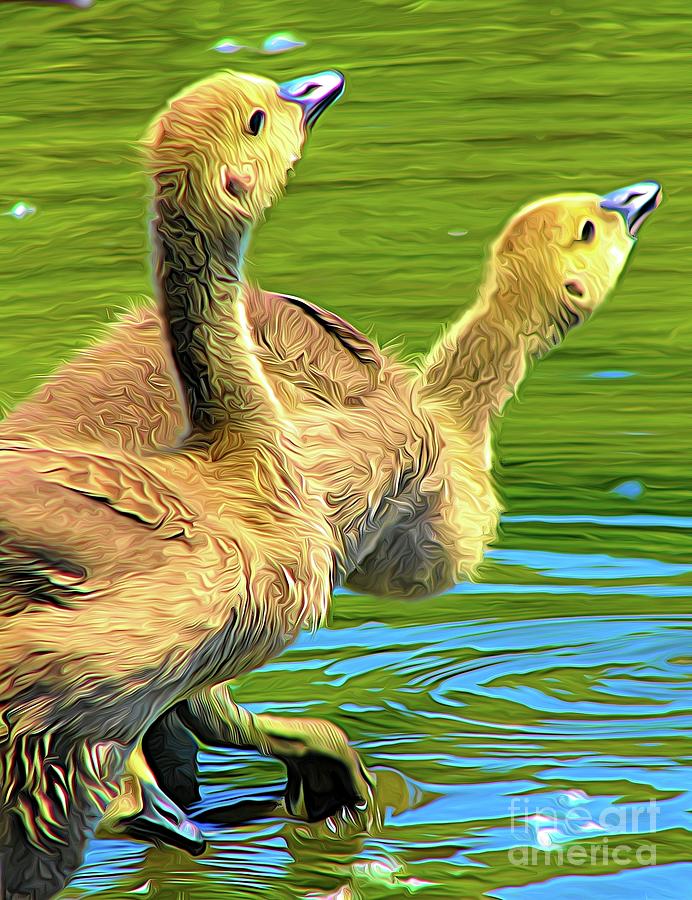 Goslings Testing The Water at  Sinking Ponds East Aurora NY Abstract Expressionism Photograph by Rose Santuci-Sofranko