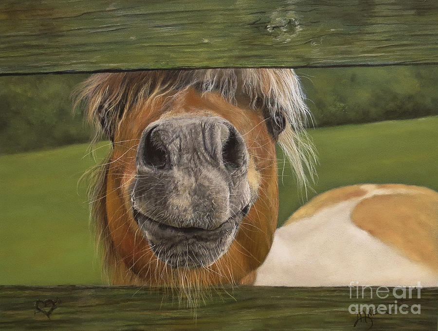 Horse Pastel - Got Any Treats? by Lesa Aker