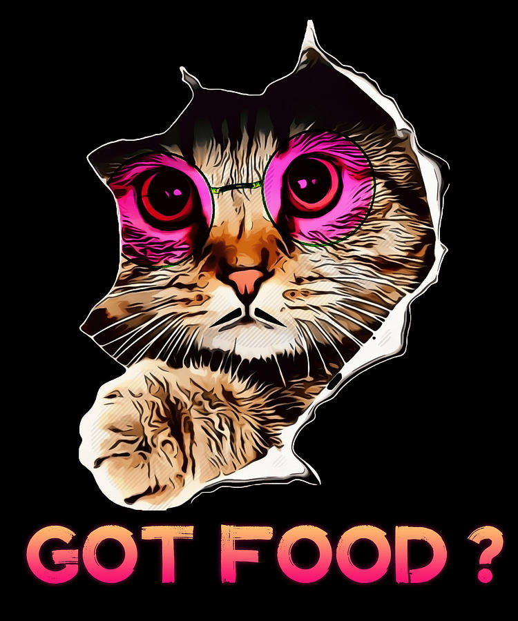 Got Food cute kawaii adorable cat kitty cat lover feline pet funny cool cat  life kitten puss cutesy Digital Art by Rahim RD - Pixels