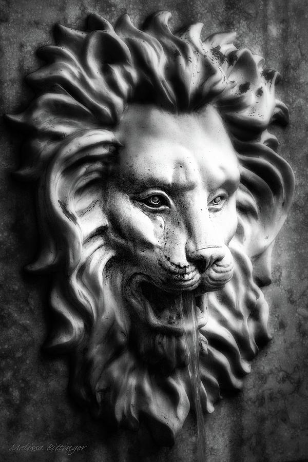 Gothic Black and White Lion Head Fountain Photograph by Melissa Bittinger