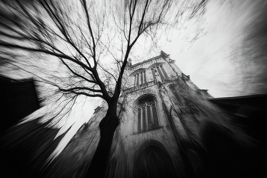 Gothic Cathedral - Pinhole-Inspired Art Black and White Digital Art by Matthias Hauser Gothic Cathedral - Pinhole-Inspired Art Black and White Digital Art by Matthias Hauser