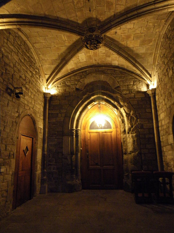 Gothic door Photograph by Lisa Mutch