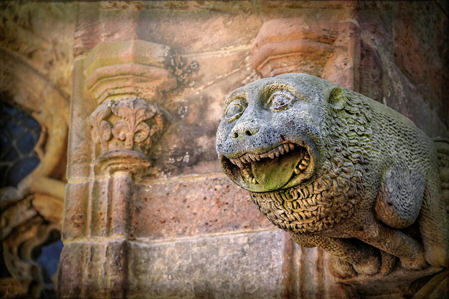 Architecture Photograph - Gothic Gargoyle in Scotland by Carol Japp