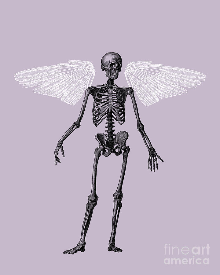 Halloween Digital Art - Gothic Skeleton Angel by Madame Memento