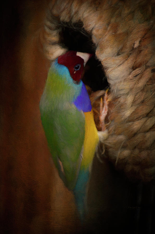 Gouldian Finch - Digital Painting Photograph by Maria Angelica Maira